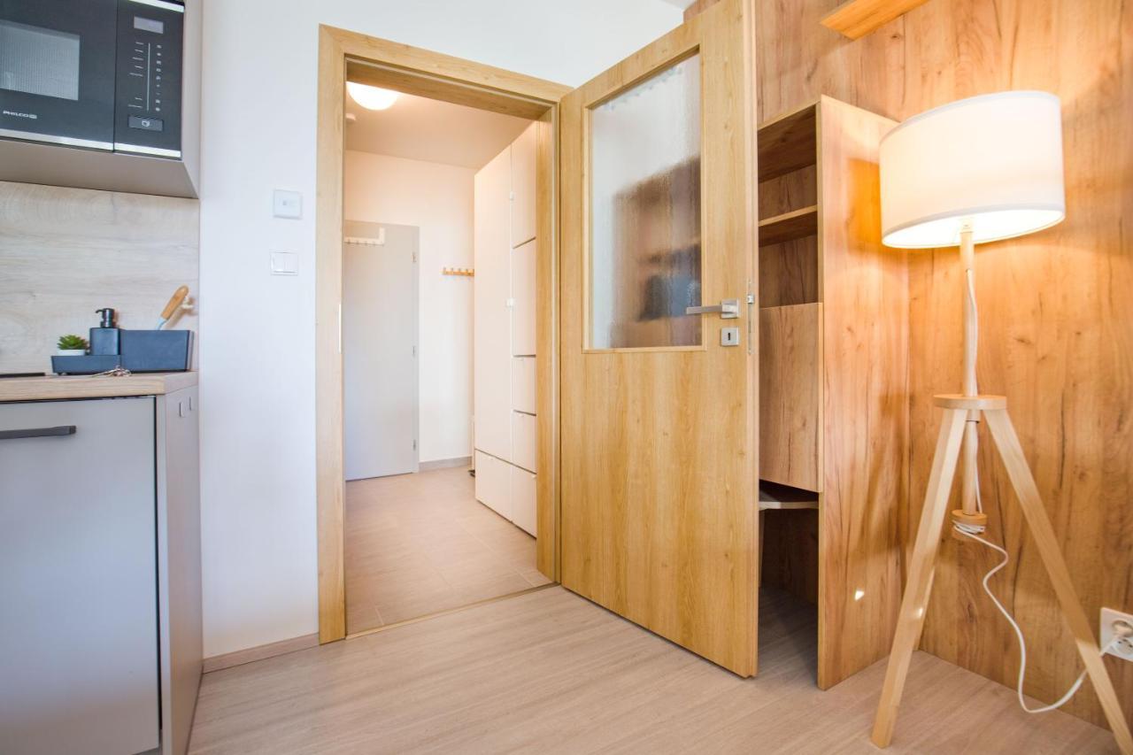 Apartmany Dolce Vita Lipno 511-5 S Vyhledem Na Jezero 伏尔塔瓦河畔利普诺 外观 照片